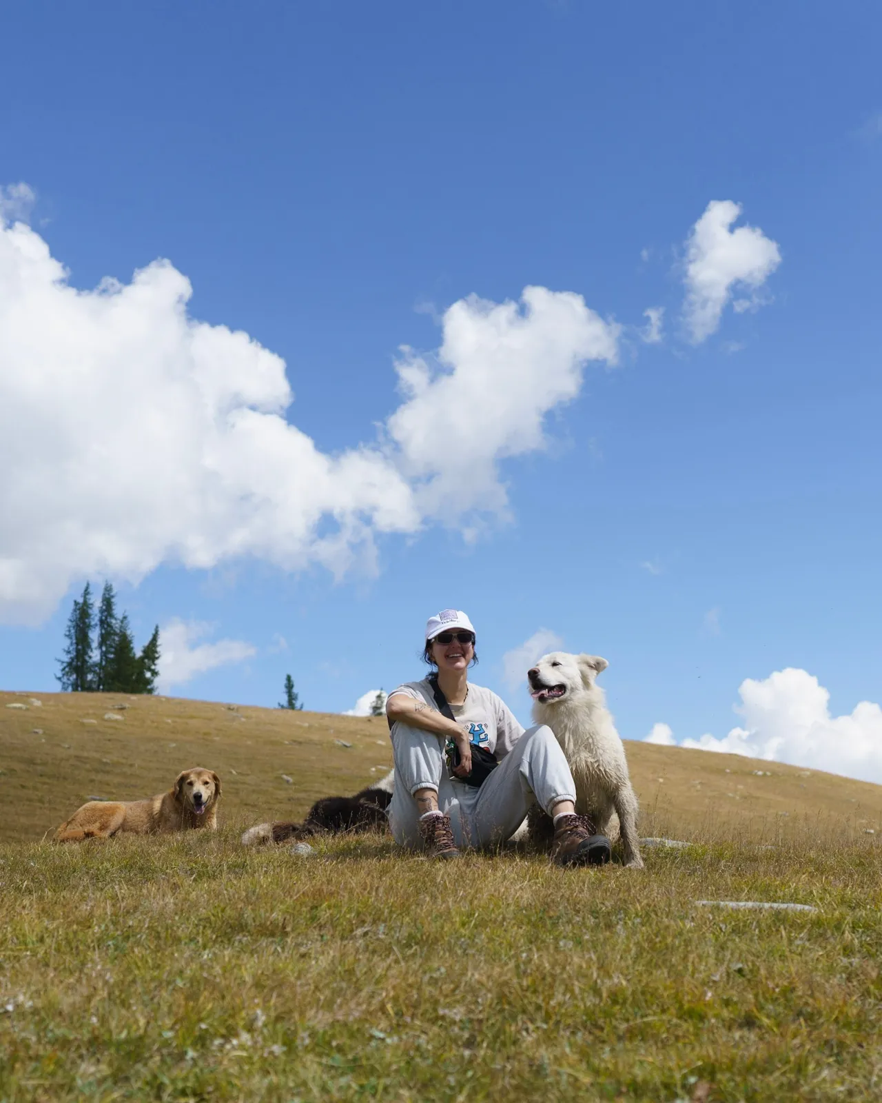 Ro sitting on a grassy Mongolian hillside with three dogs under a blue sky